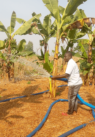 Community-driven approach