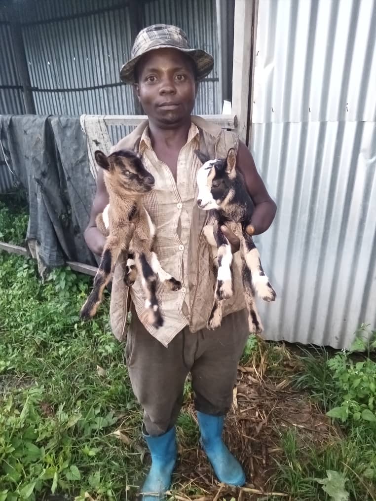 Skills training programs and equipment for refugees