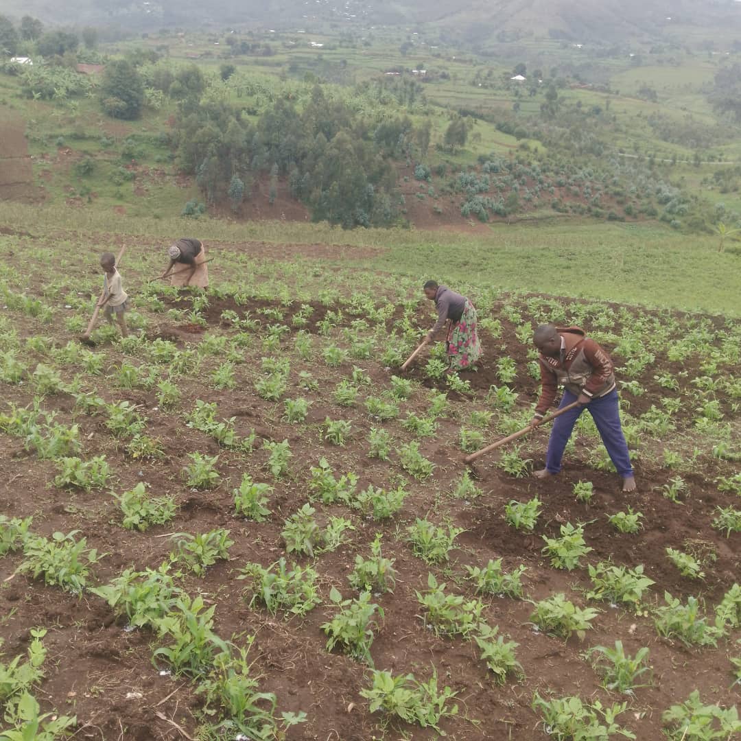 MMED monitoring, evaluation, and follow-up activities